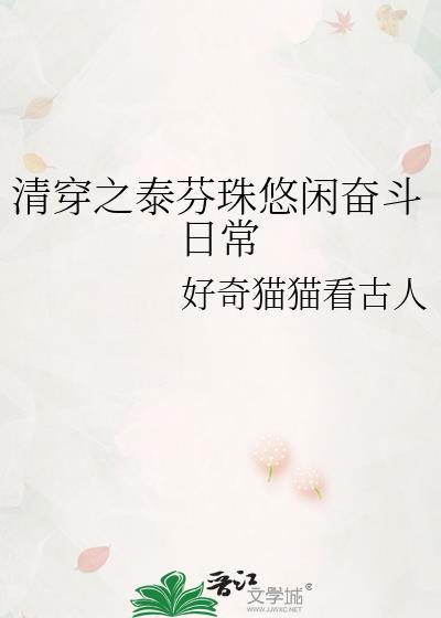 清穿之皇太子妃小说